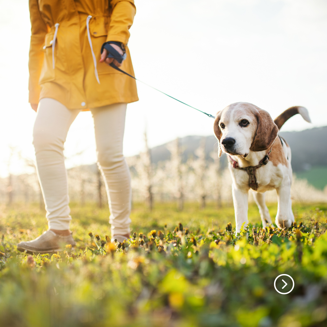 The Leisure Sector Outlook for 2024